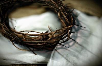 Dornenkrone (c) pixabay.com photo_2021_02_15_16_27_crown-of-thorns-6018465_1280 Dornenkrone