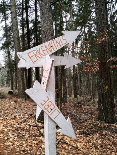 Erkenntnis (c) by_Christian_Schmitt_pfarrbriefservice.de Erkenntnis