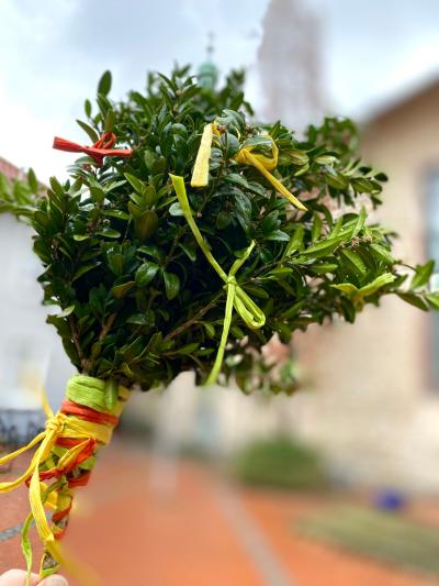 Palmbuschen (c) by_Sylvio_Krueger_pfarrbriefservice.de Palmbuschen