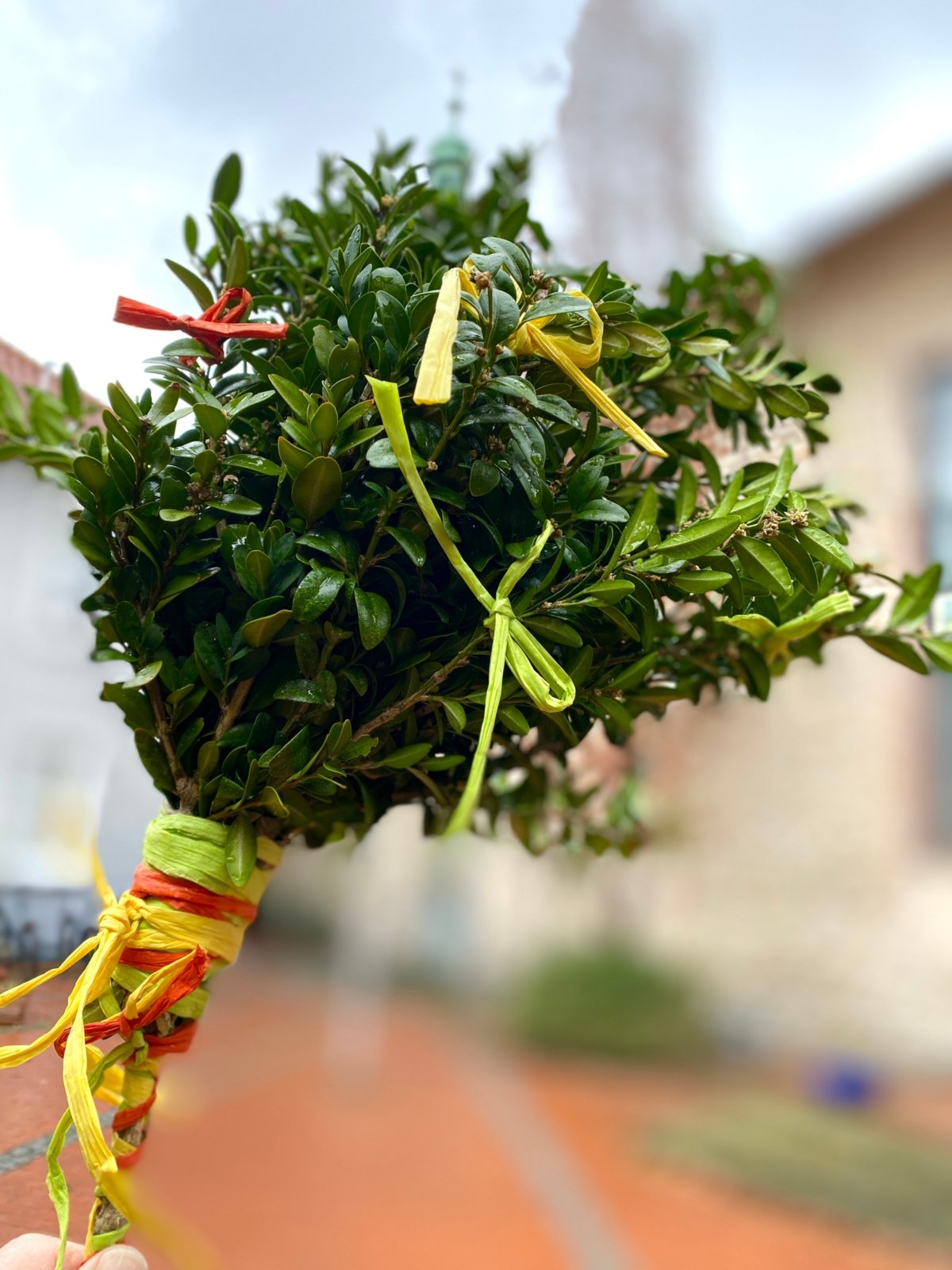 Palmbuschen (c) by_Sylvio_Krueger_pfarrbriefservice.de