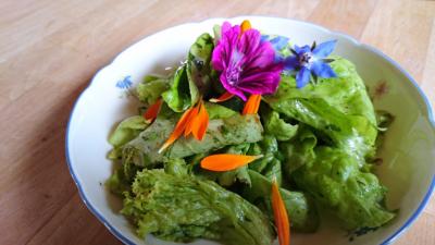 Salat (c) by_christian_schmitt_pfarrbriefservice.de Salat