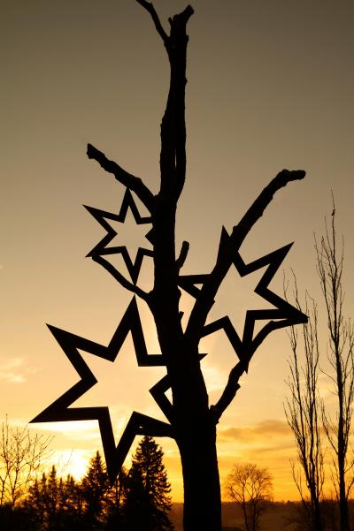 Sternenbaum