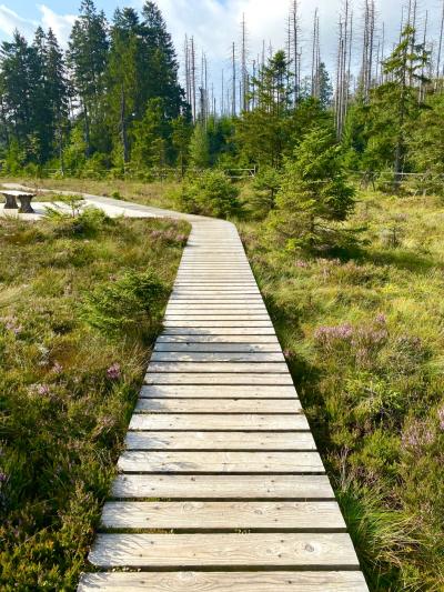 Weg (c) by_Sylvio_Krueger_pfarrbriefservice.de Weg