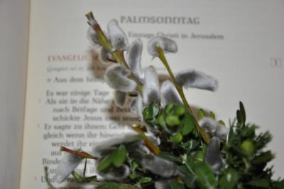 Palmsonntag (c) pfarrbriefservice.de Palmsonntag