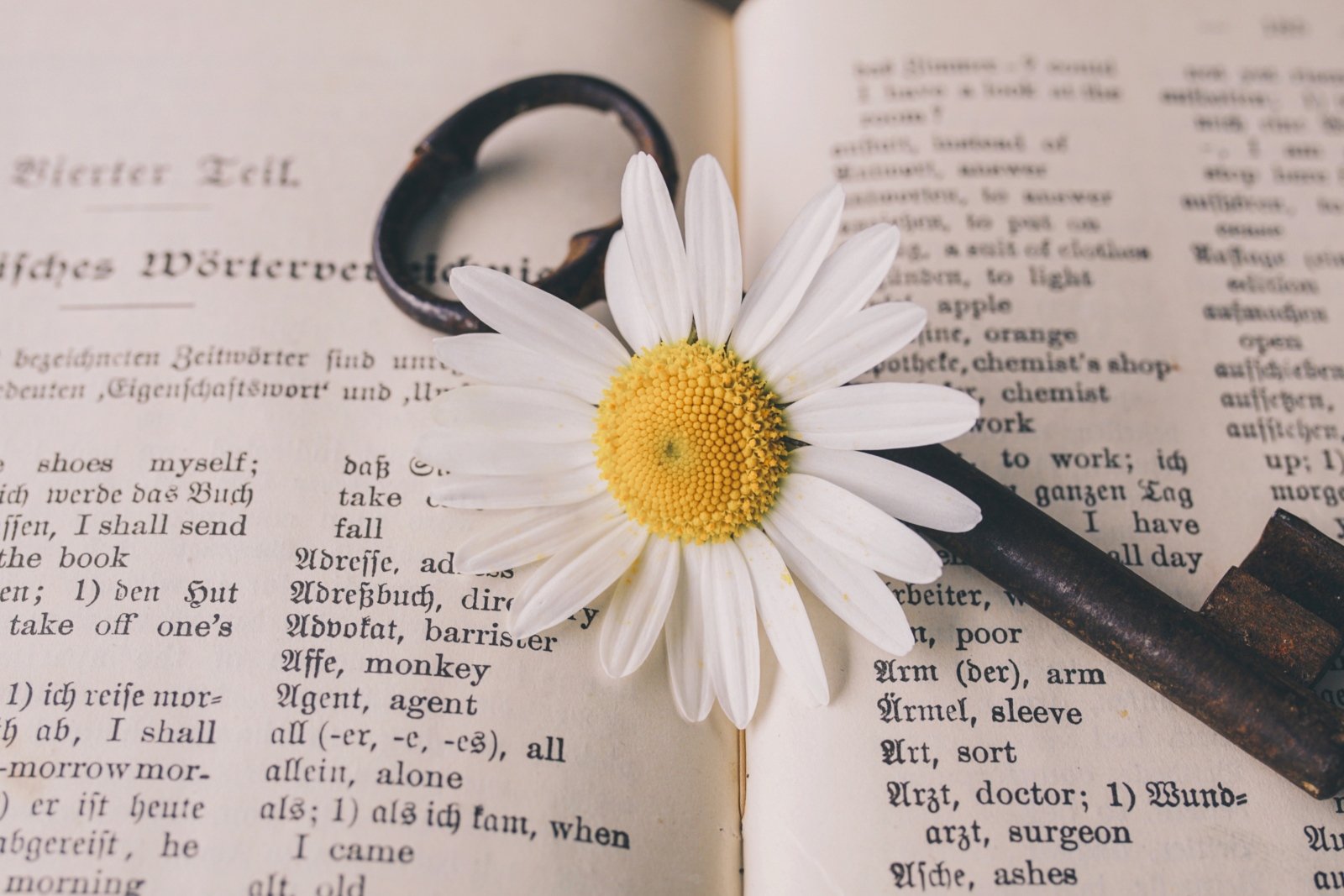Schlüssel mit Blume (c) Bild von Susanne Jutzeler auf Pixabay